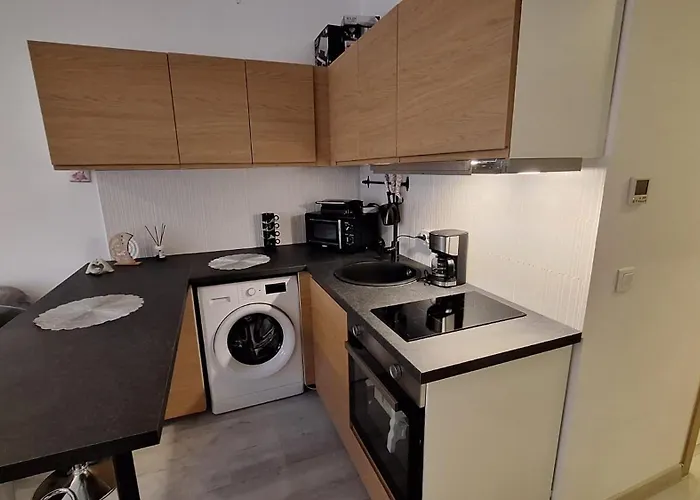 Iris Rin Apartament *